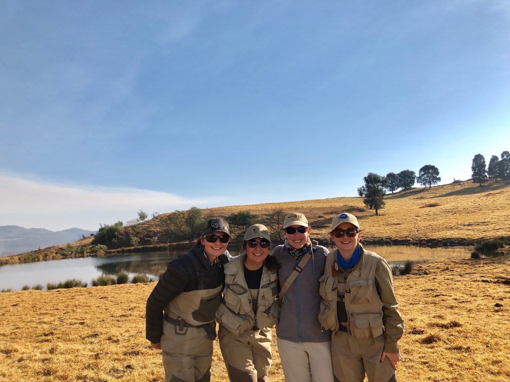 the TFT WIW team