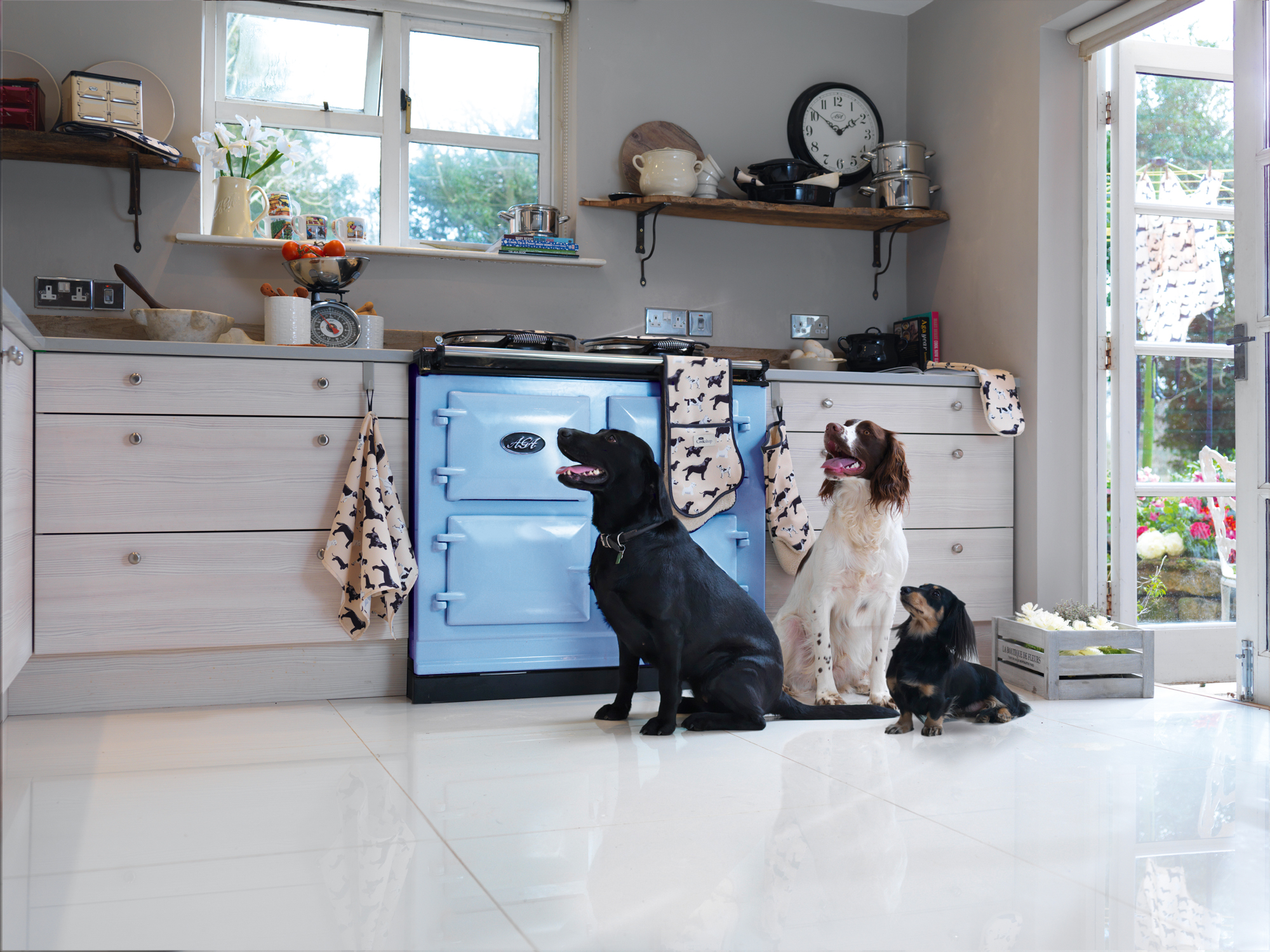 three dogs in a kitchen