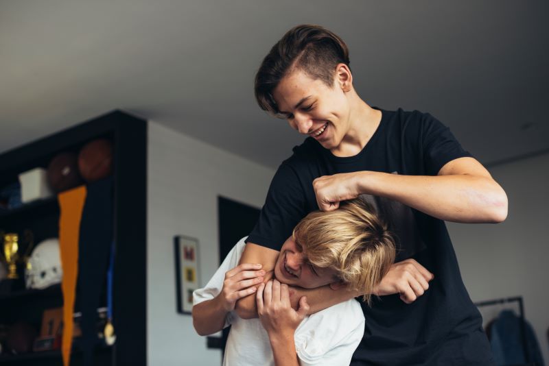 Stop sibling bullying