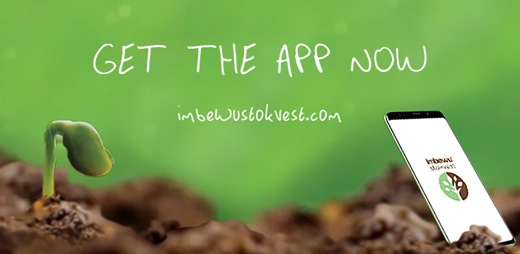 stokvest banner