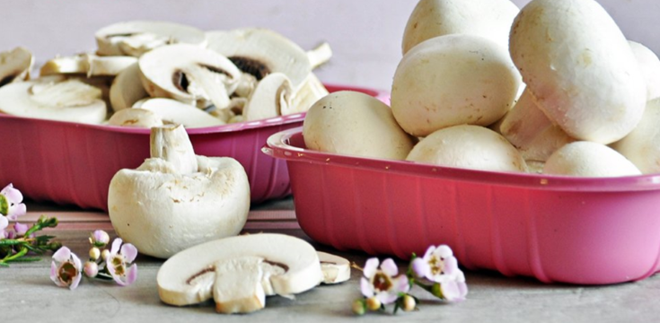 mushrooms in pink punnets