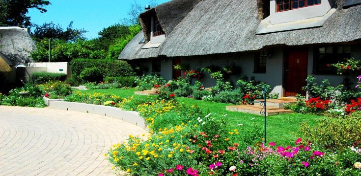 a garden