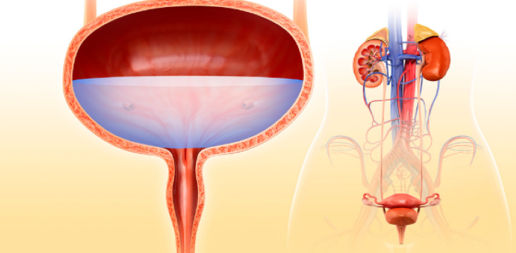 Bladder Health Awareness (002)