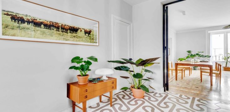 nature-indoors