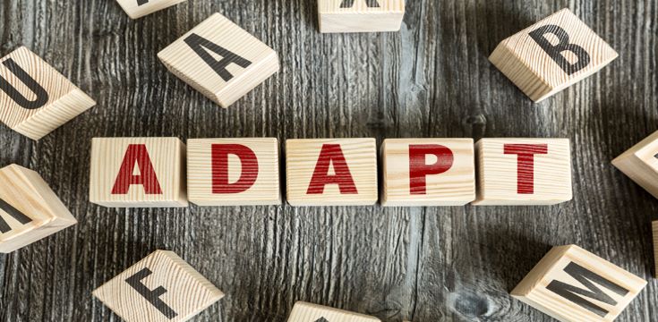 Adapt