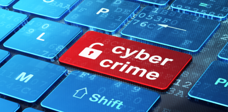 Cyber-Crime-1