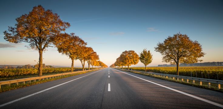 road-trip