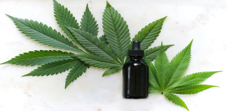 cbd_oil