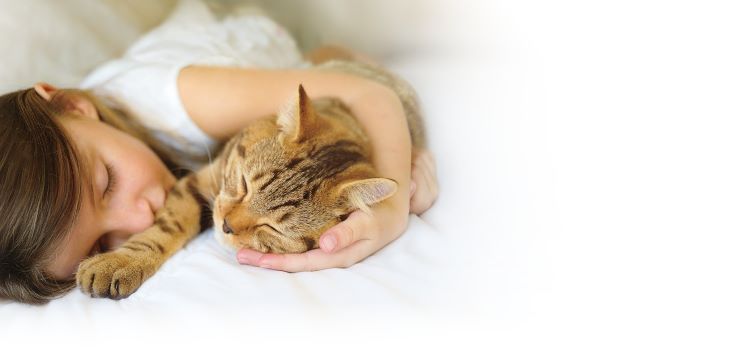 pets02