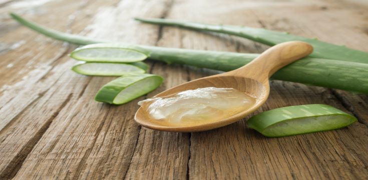 aloe pic (002)