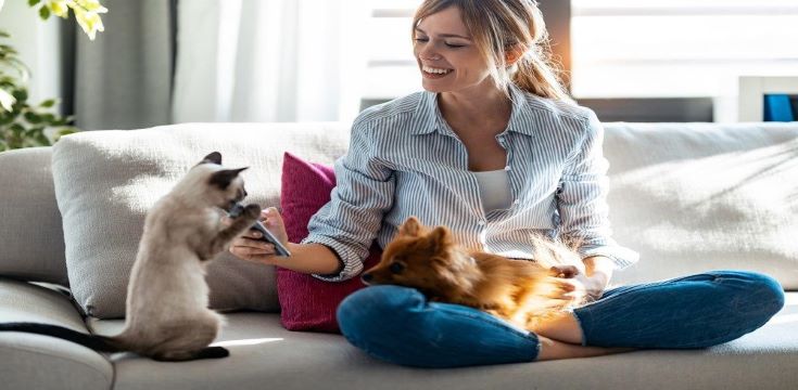 Pets