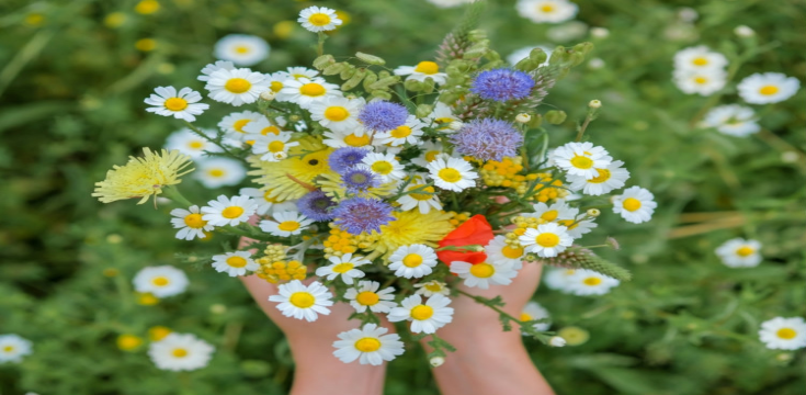 Flowers