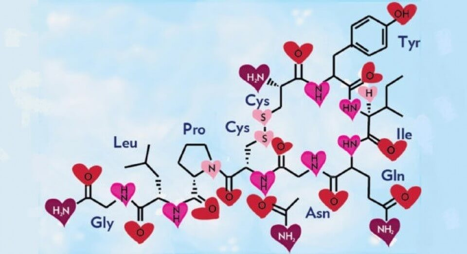 Love-hormone