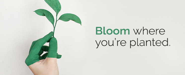 Digital-blog-banner