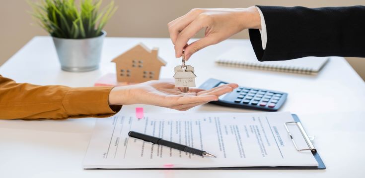 Estate levies