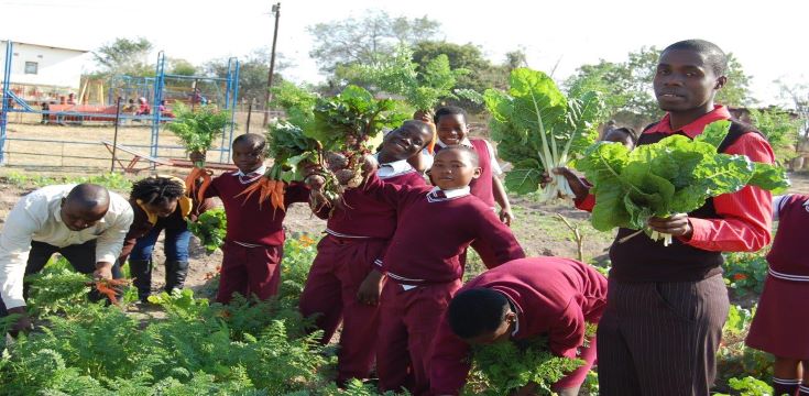 School Garden Vegetables (003).jpg