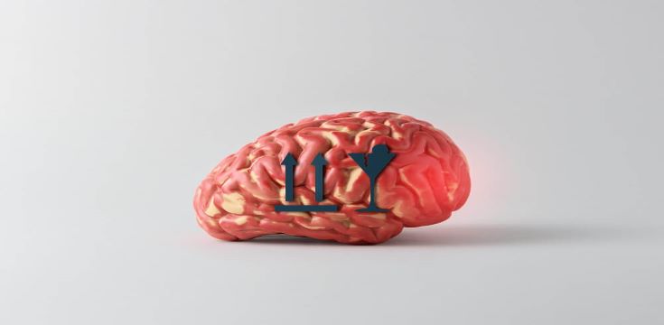 creative-headache-concept-gray-background-model-human-brain-with-fragile-sign
