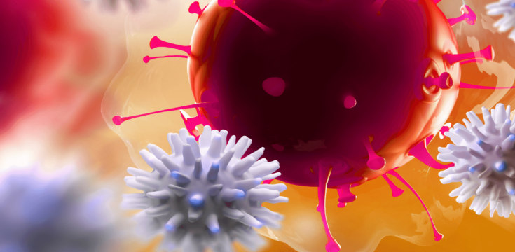 how-to-strengthen-your-immune-system