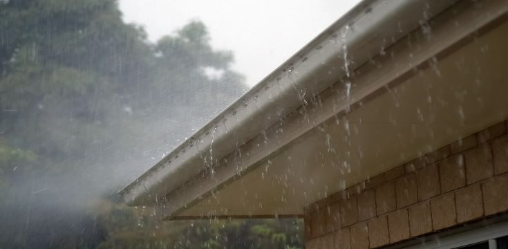 Rain