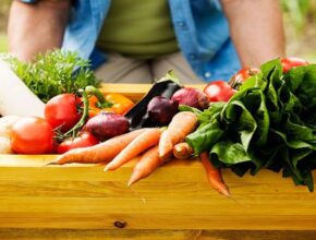 Vegetable-garden