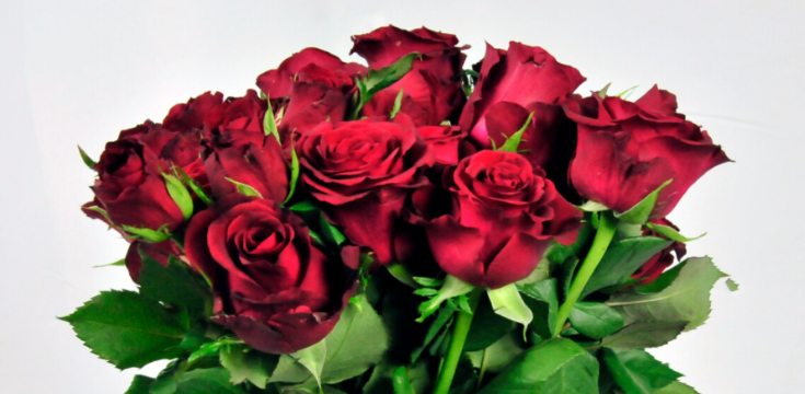 Red-roses