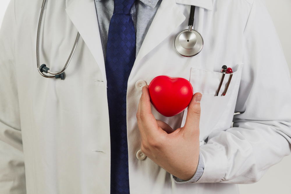 doctor-showing-plastic-heart