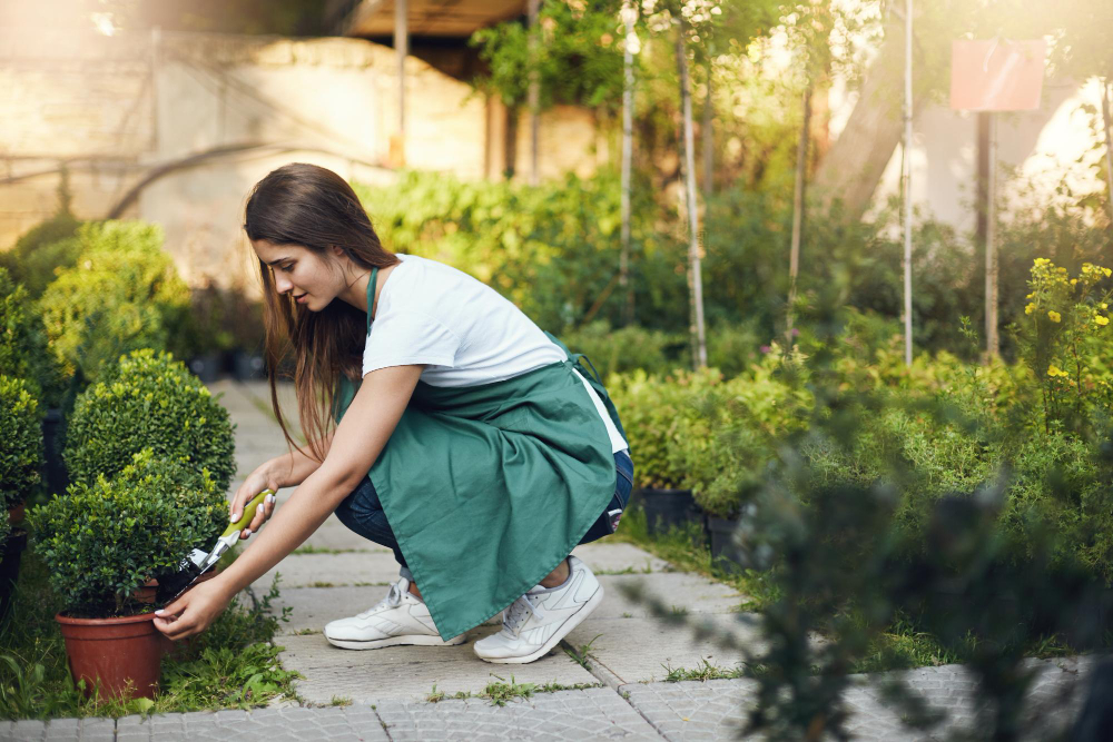 young-chic-female-gardener-taking-care-plants-backyard