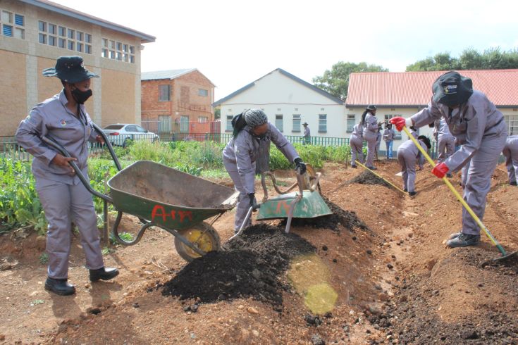 The Orange Farm center where young people are learning the skills of Agriculture